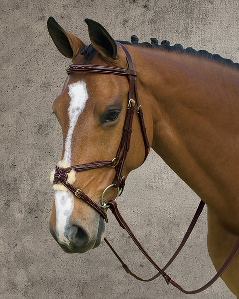Dy'on® Figure-8 Bridle