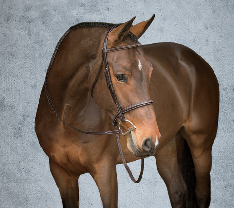 Showmark® Premier Hunter Bridle