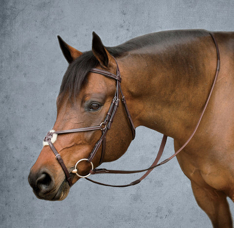 DS Premier Figure-8 Bridle