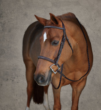 Showmark® Premier Padded Pony Hunter Bridle