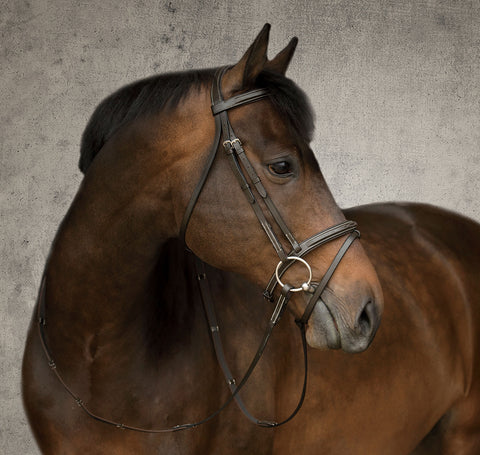 DS Single Crown Flash Bridle