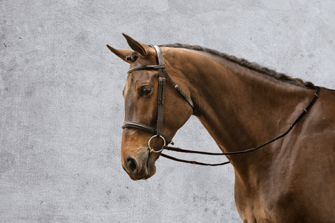 Suffolk™ Single Crown Classic Dressage Bridle