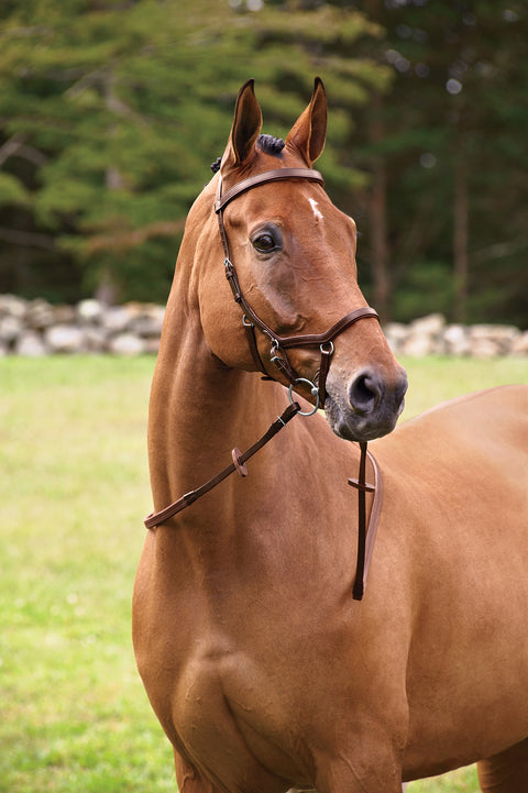 Rambo® Micklem® Competition Bridle