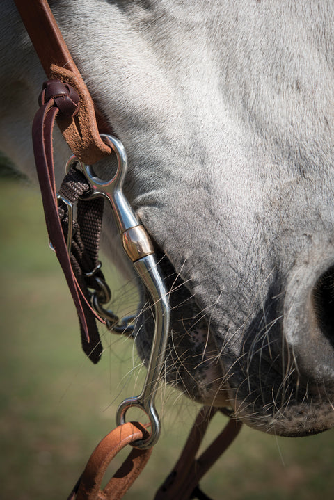 Metalab Copper Tom Thumb Bit