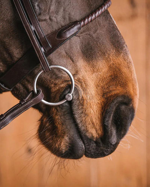 Fager Emil Titanium Loose Ring Bit, 16mm Mouth