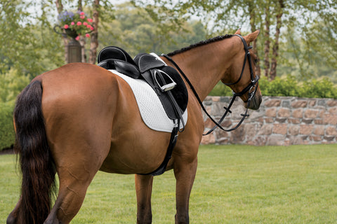 Steffen's Advantage Buffalo Single Flap Dressage Saddle