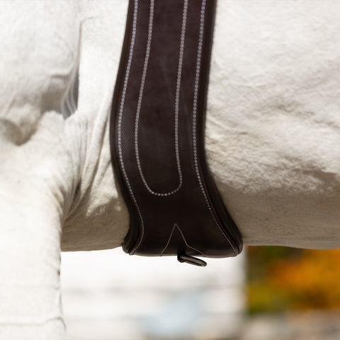 Equinavia Valkyrie Anatomic Long Girth