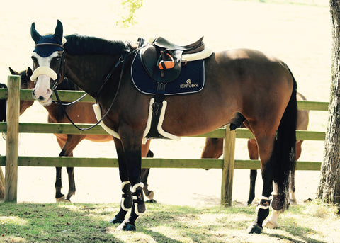 Kentucky Horsewear Vegan Sheepskin Stud Girth