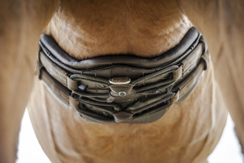 Stübben Equi-Soft® Girth