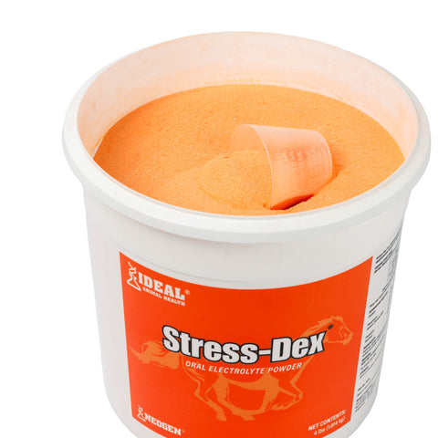 Neogen® Stress-Dex® Oral Electrolyte Powder
