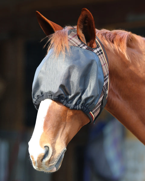 Kensington™ UViator Dartless Fly Mask with Web Trim & Forelock Opening