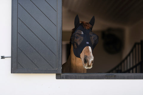 EquiFit® Essential Fly Mask with Forelock Hole