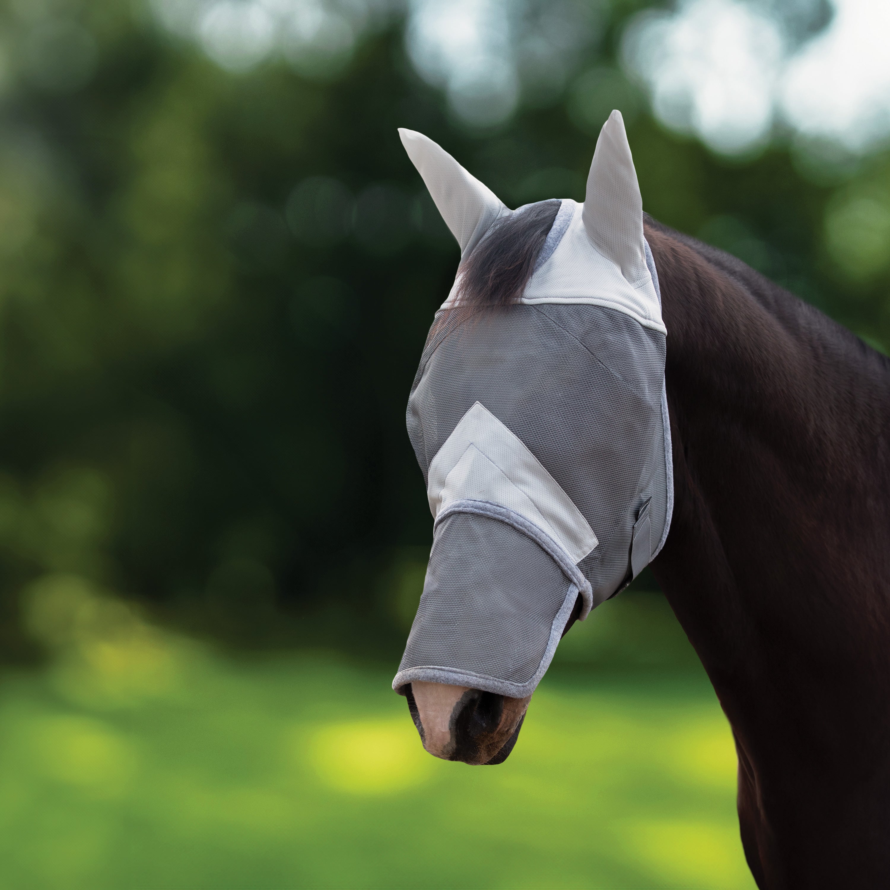 Rider’s International™ Fly Mask with Ears & Nose – Dover Saddlery
