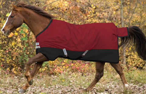 Horseware® Ireland Mio® Lite Turnout Sheet