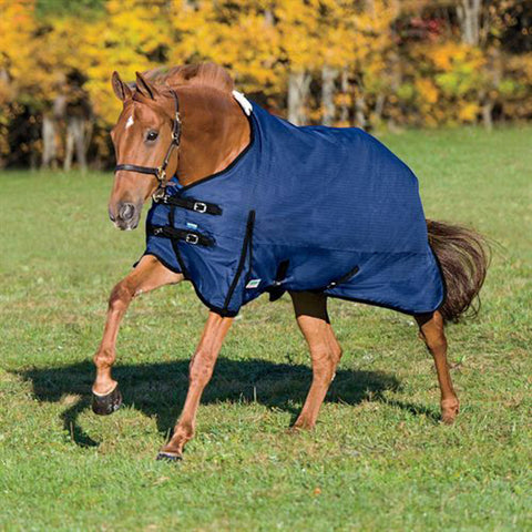 Rider’s International™ Supreme Heavyweight Turnout Blanket