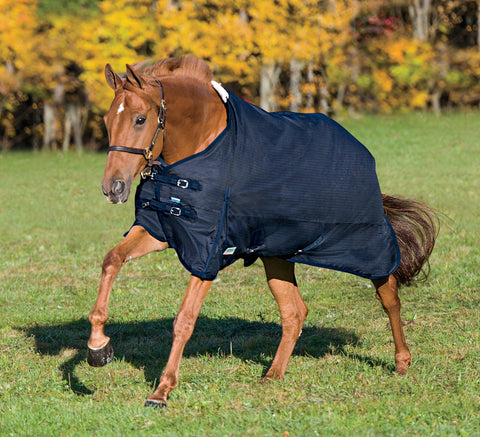 Rider’s International™ Supreme Heavyweight Turnout Blanket