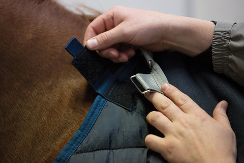 Horseware® Ireland 100 Gram Blanket Liner