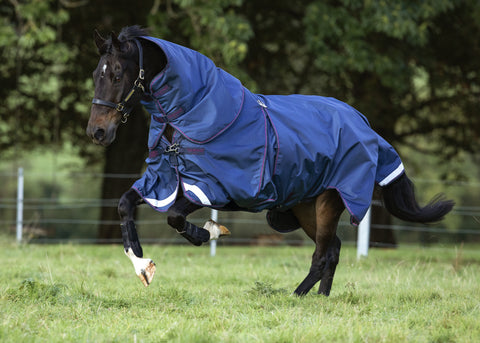 Horseware® Ireland Rambo® Optimo Turnout Blanket - Navy/Burgundy/Teal/Navy / 66 - Turnout Blankets