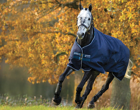Horseware® Ireland Amigo® Bravo 12 Turnout Sheet
