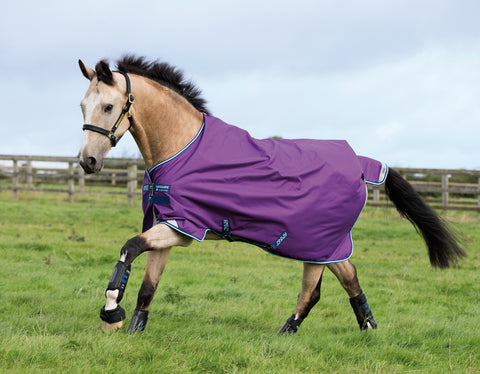 Horseware® Ireland Amigo® Bravo 12 Turnout Sheet