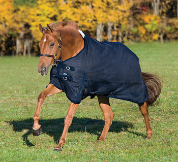 Rider’s International™ Supreme 100 Gram Turnout Blanket