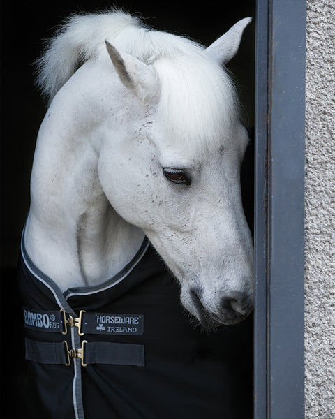 Horseware® Ireland Rambo® Stable Sheet
