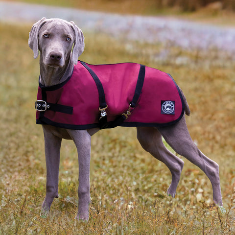 Rider’s International™ Dog Turnout Sheet