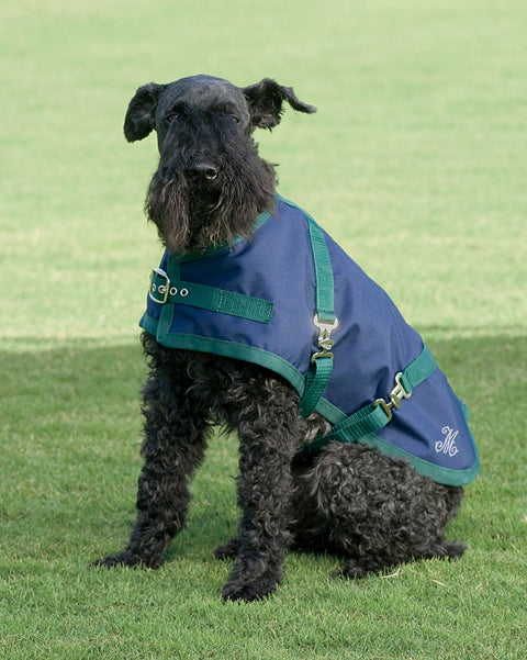 Rider’s International™ Dog Turnout Sheet