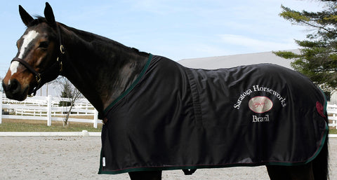 Saratoga Oasis Summer Dress Sheet