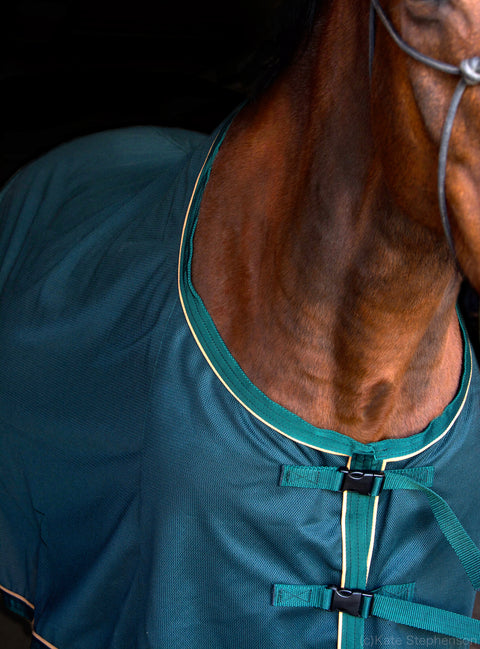 Saratoga Oasis Summer Dress Sheet