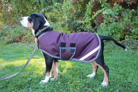 Amigo® Dog Rug
