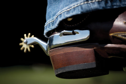 Metalab Western Spurs