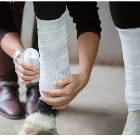 Saratoga Bandages (2-Pack)