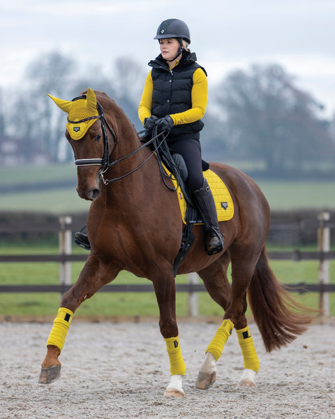 LeMieux® Loire Satin Polo Bandages