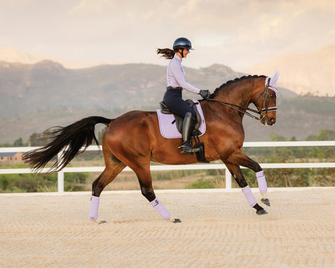 LeMieux® Classic Polo Wraps