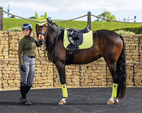 LeMieux® Classic Polo Wraps