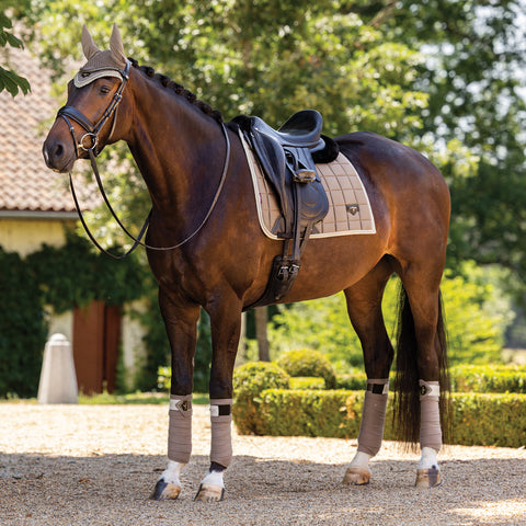 LeMieux® Loire Polo Wraps