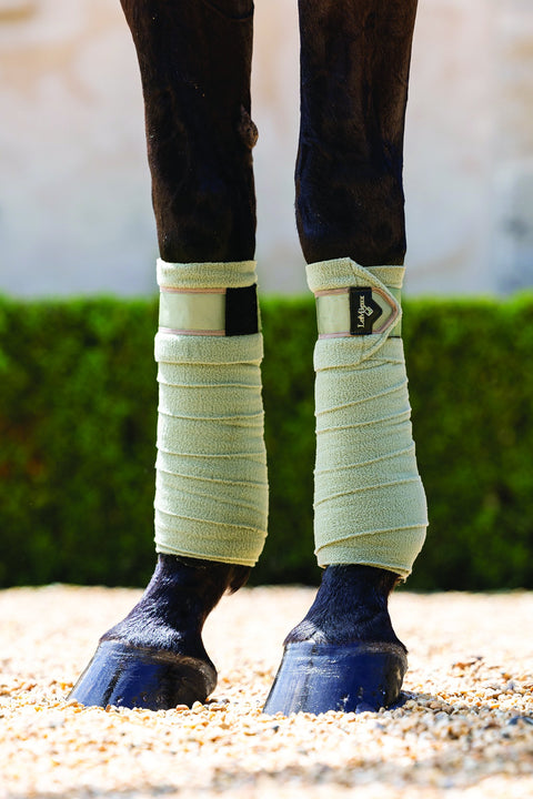 LeMieux® Loire Polo Wraps