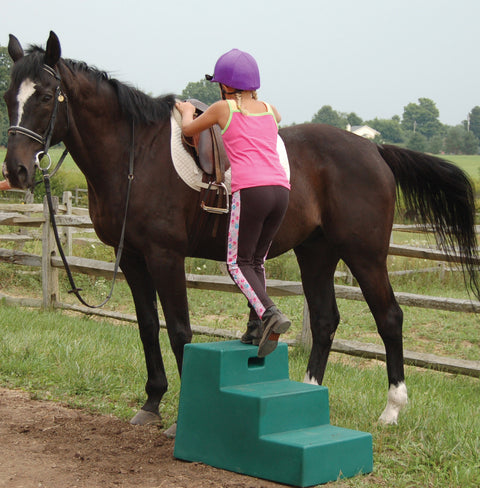 Horsemen’s Pride™ 3-Step Mounting Block