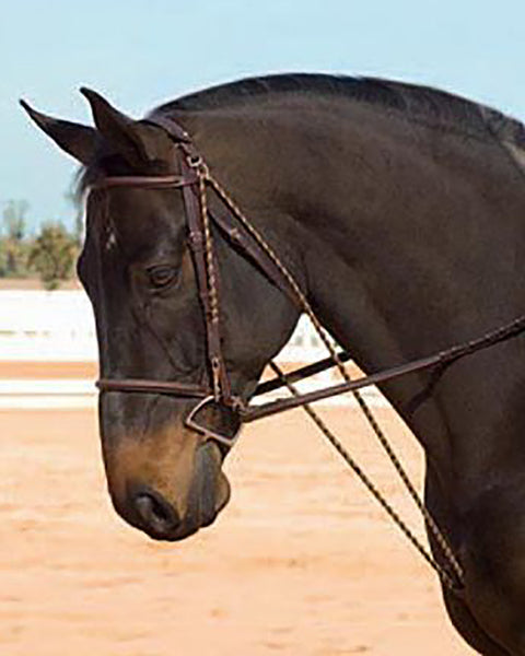 Camelot™ Chambon