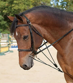 Hy De Gouge - Black - Cob/Full - GS Equestrian