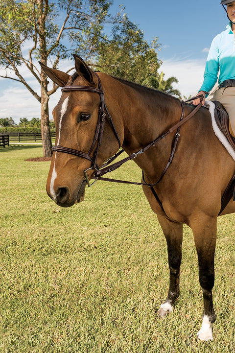 horse gear saddlery germany Walsh™ German Martingale – Dover Saddlery