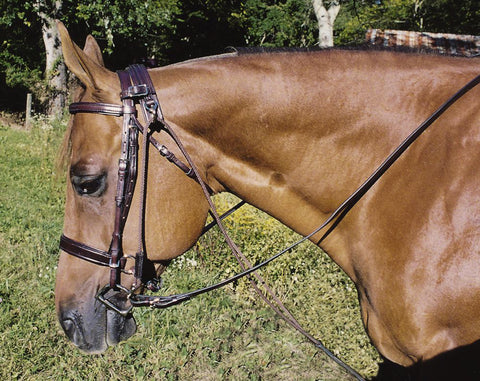Tory Leather Company Horse Size Chambon