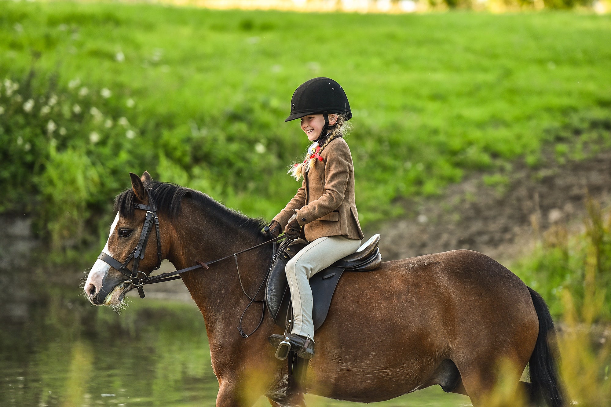 Charles Owen JR8 Plus Helmet – Dover Saddlery