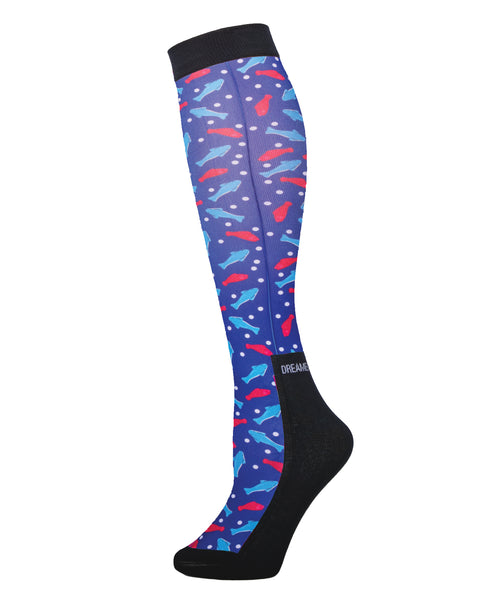 Dreamers and Schemers Pair and a Spare Socks