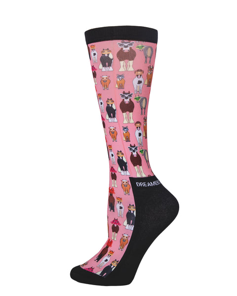 Dreamers & Schemers Youth Pair & A Spare Socks