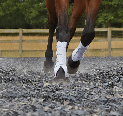 LeMieux® Snug Front Boots