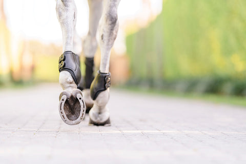 EquiFit® Eq-Teq™ Hind Boots