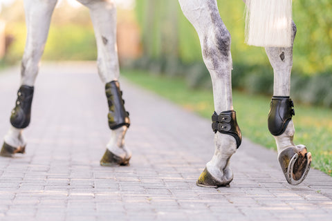 EquiFit® Eq-Teq™ Hind Boots