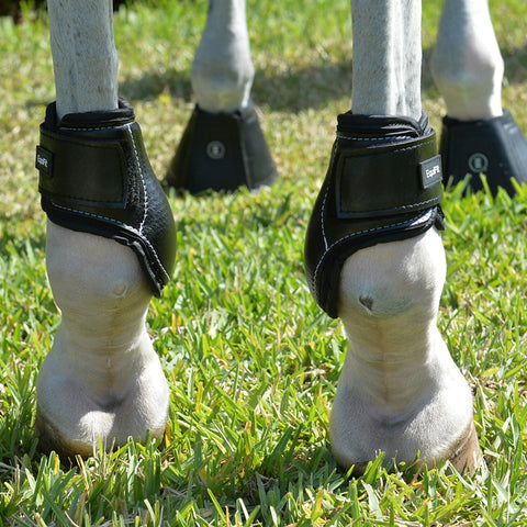EquiFit® Young Horse Boots with ImpacTeq®